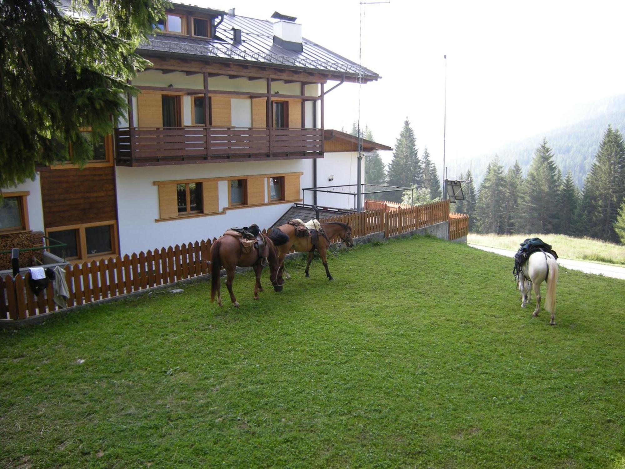 Hotel Piccolo Pocol Cortina dʼAmpezzo Exterior foto